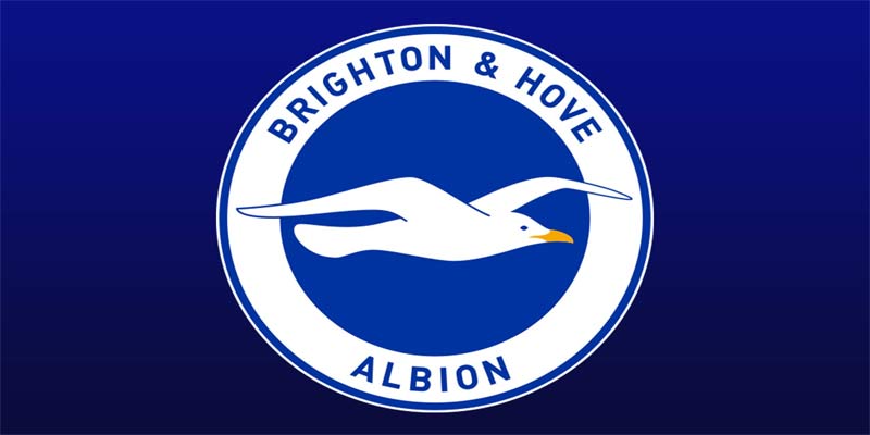 Brighton FC: Sự Thăng Hoa Đầy Kỳ Vọng Của Những Chú Mòng Biển